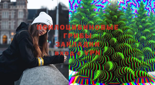 гашик Покров