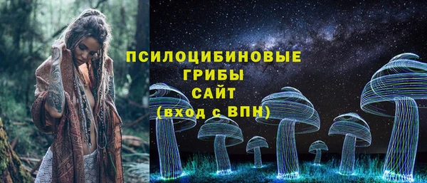 тгк Данков