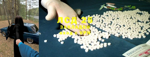 гашик Покров