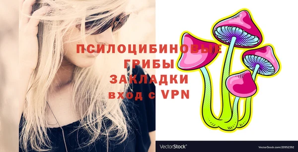 амф Покачи