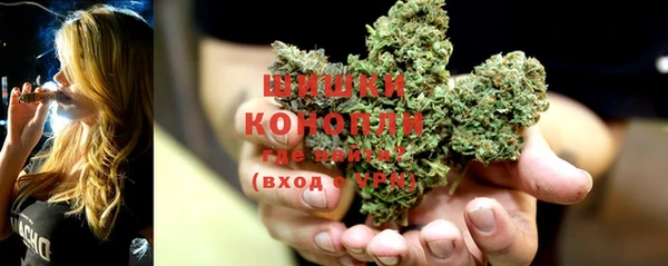 гашик Покров