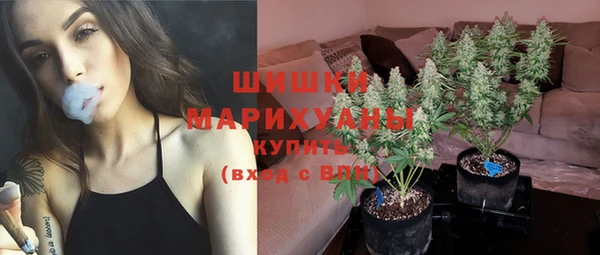 гашик Покров