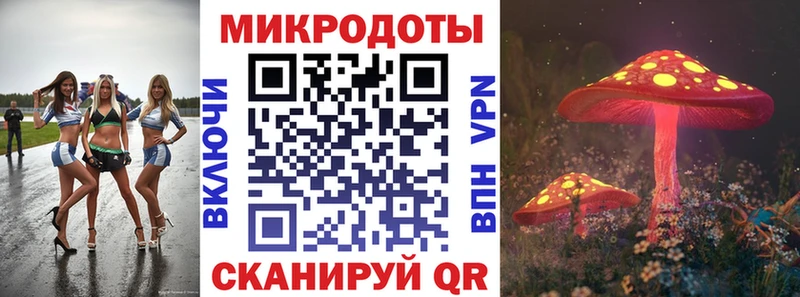 Псилоцибиновые грибы Psilocybine cubensis  где можно купить   Бавлы 