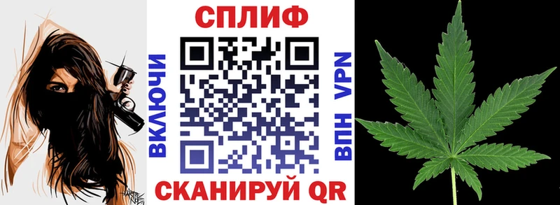 Канабис семена Бавлы